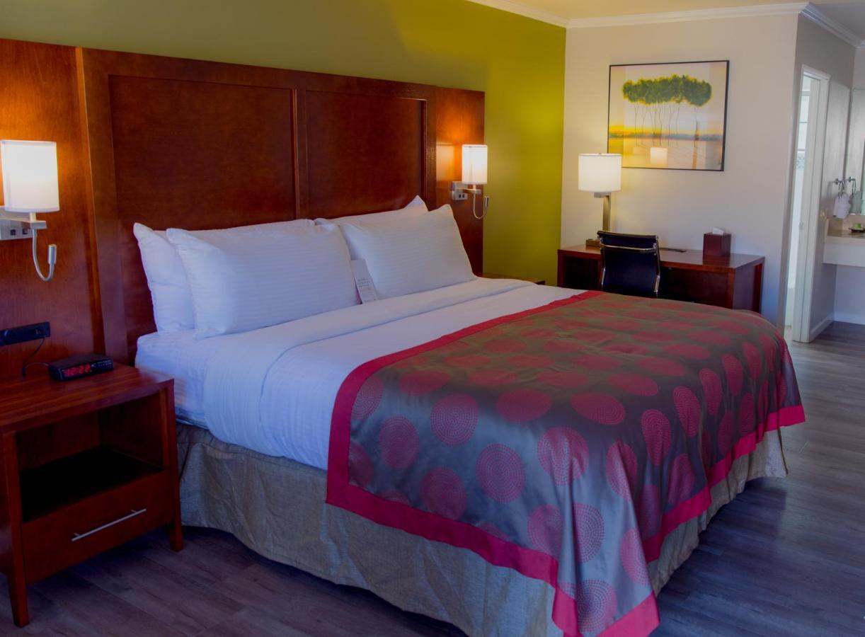 Hotel Ramada By Wyndham Mountain View Extérieur photo